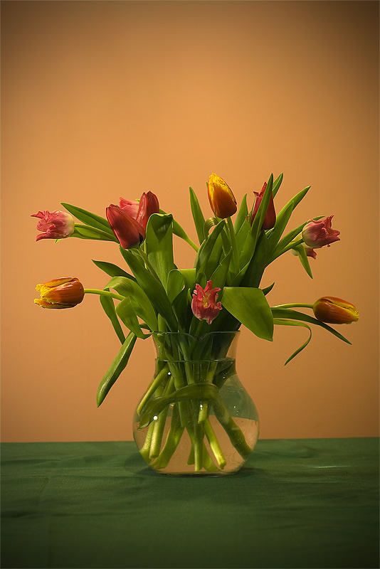 фото "Flowers for you..." метки: природа, разное, цветы