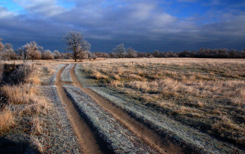 photo "***" tags: landscape, 