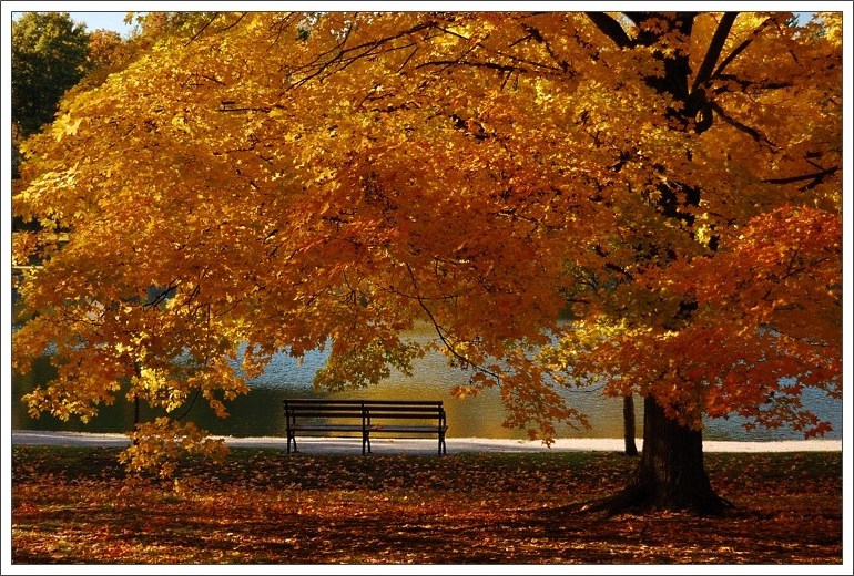photo "autumn bench" tags: landscape, autumn, water