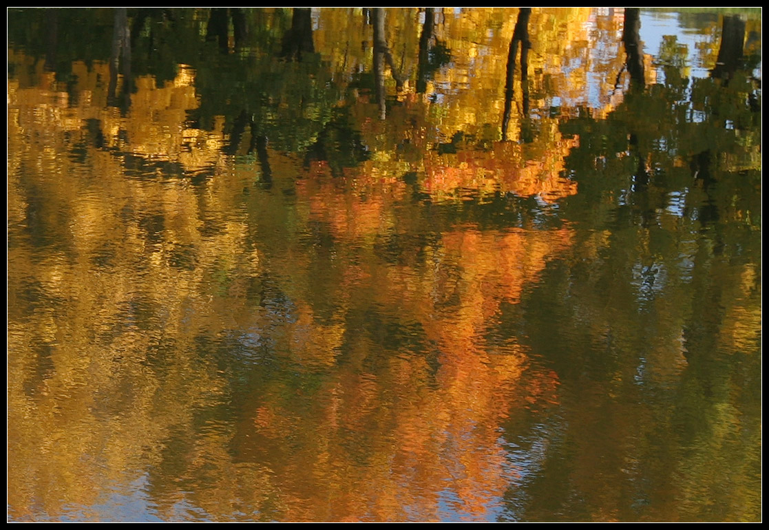 photo "The Color of Autumn" tags: landscape, autumn, water