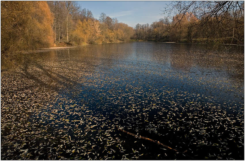 фото "Листопад" метки: пейзаж, вода, осень