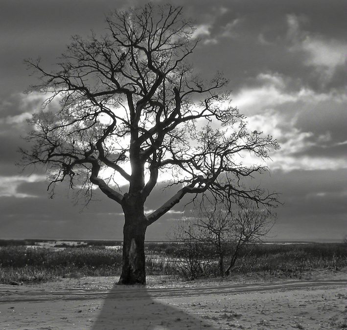 photo "Light and Shadow" tags: black&white, 