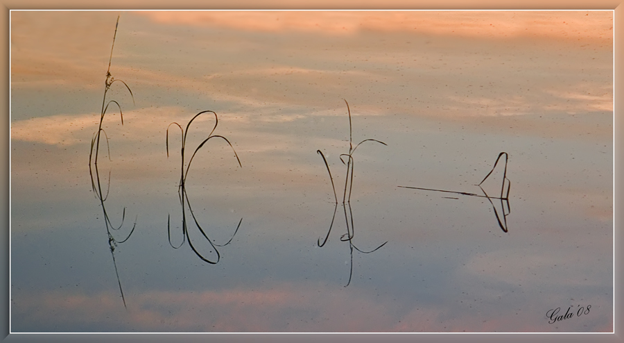 photo "The message" tags: landscape, sunset, water