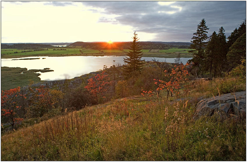 photo "Kind on lake Airanne" tags: landscape, forest, sunset