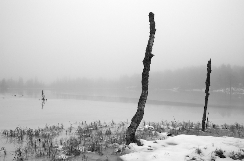 photo "frozen lake II" tags: landscape, water, winter