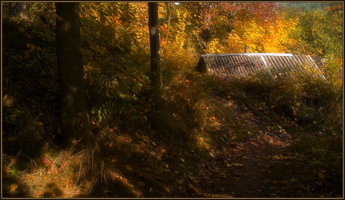 фото "Домик в лесу" метки: пейзаж, осень