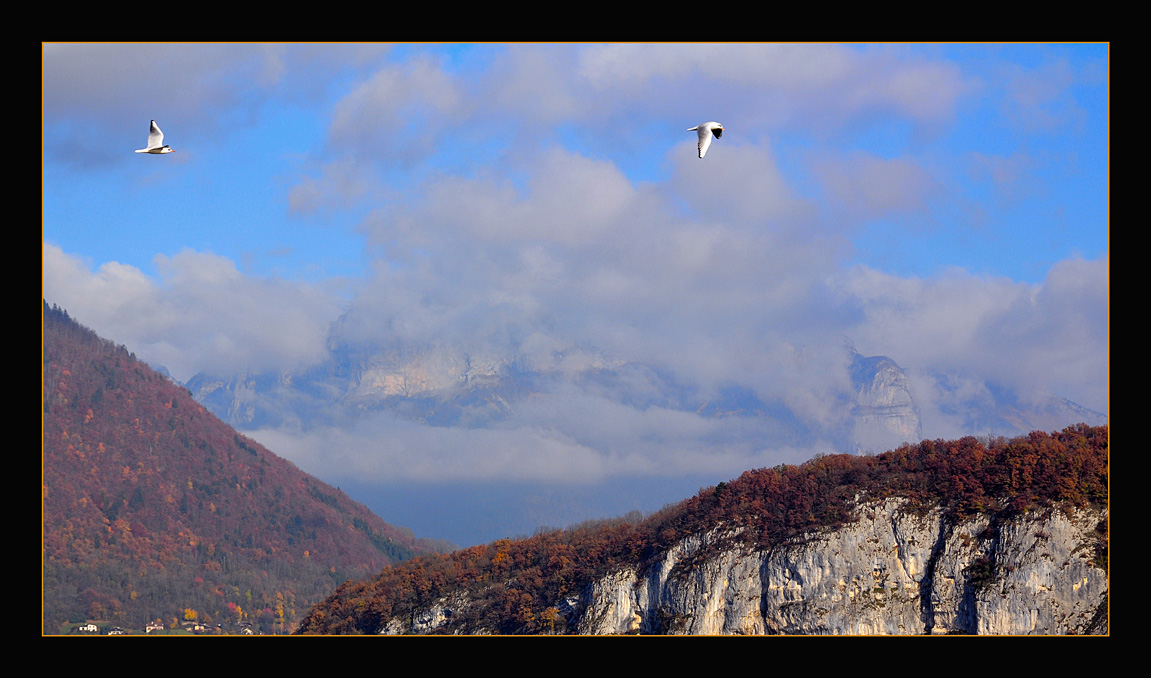 photo "Freedom!" tags: nature, landscape, mountains, wild animals
