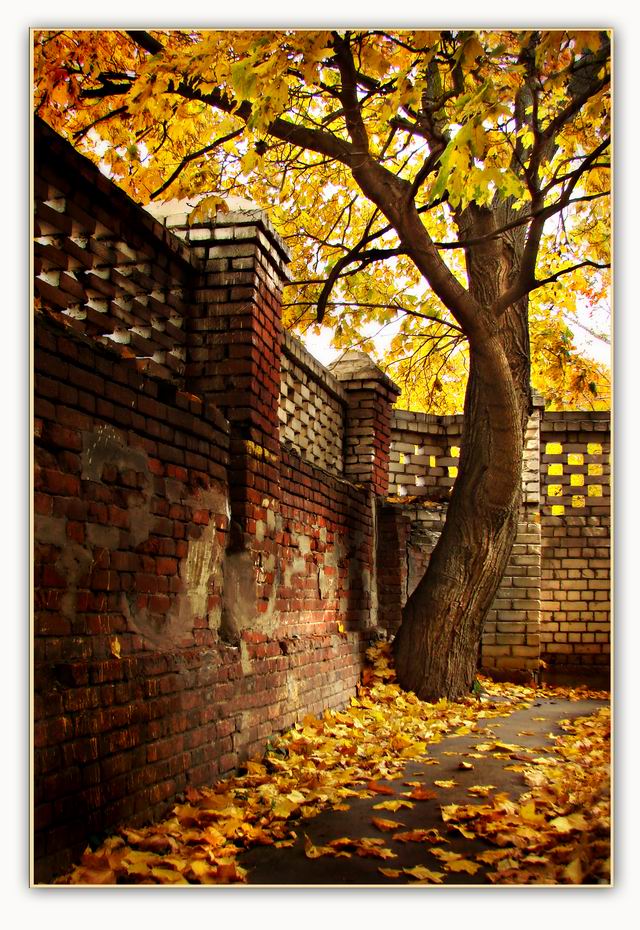 фото "..." метки: пейзаж, осень