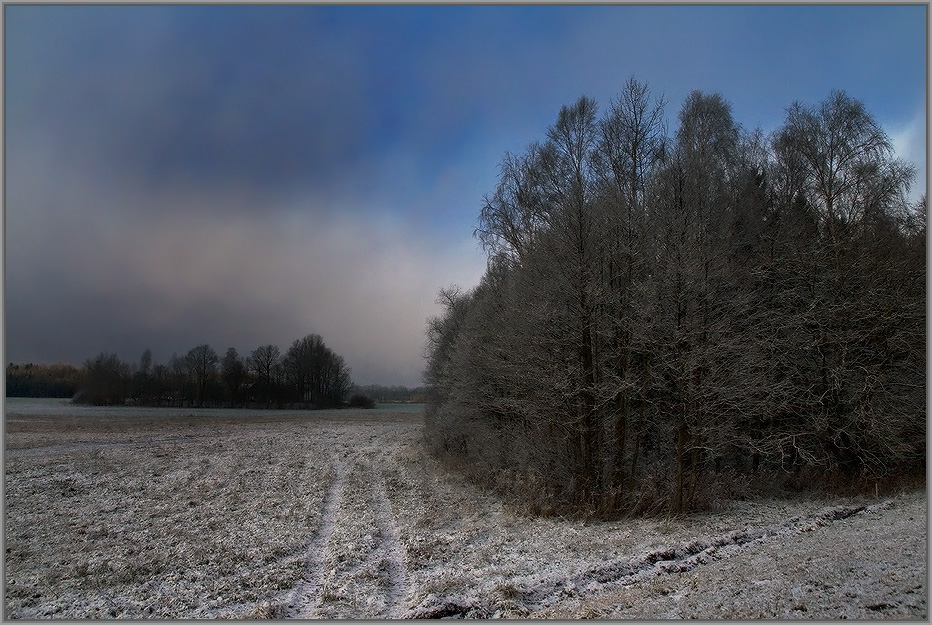 photo "Colors of gloomy day." tags: landscape, winter