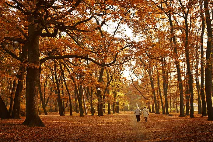 photo "A walk in the park" tags: landscape, autumn