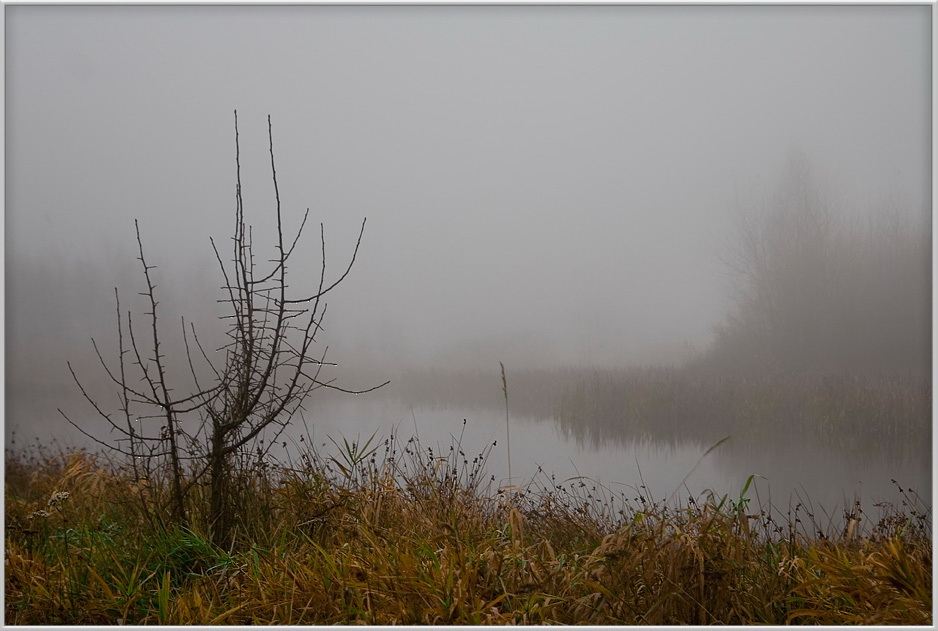 photo "Autumn melody" tags: landscape, autumn