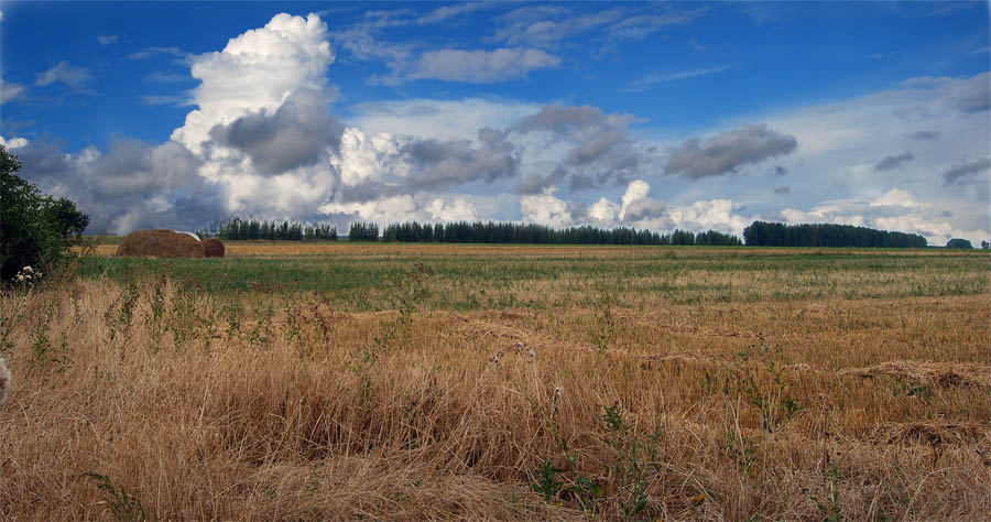 photo "***" tags: landscape, summer