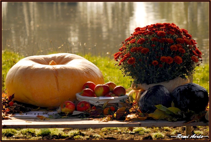 photo "autumn" tags: nature, still life, flowers