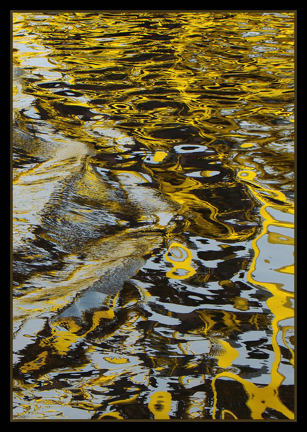 фото "Painting in the water..." метки: пейзаж, вода
