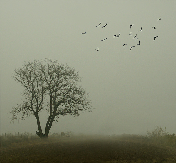 фото "Late autumn" метки: пейзаж, осень