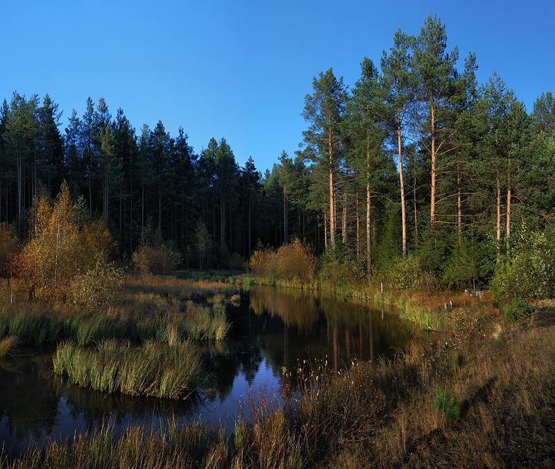 photo "***" tags: landscape, autumn