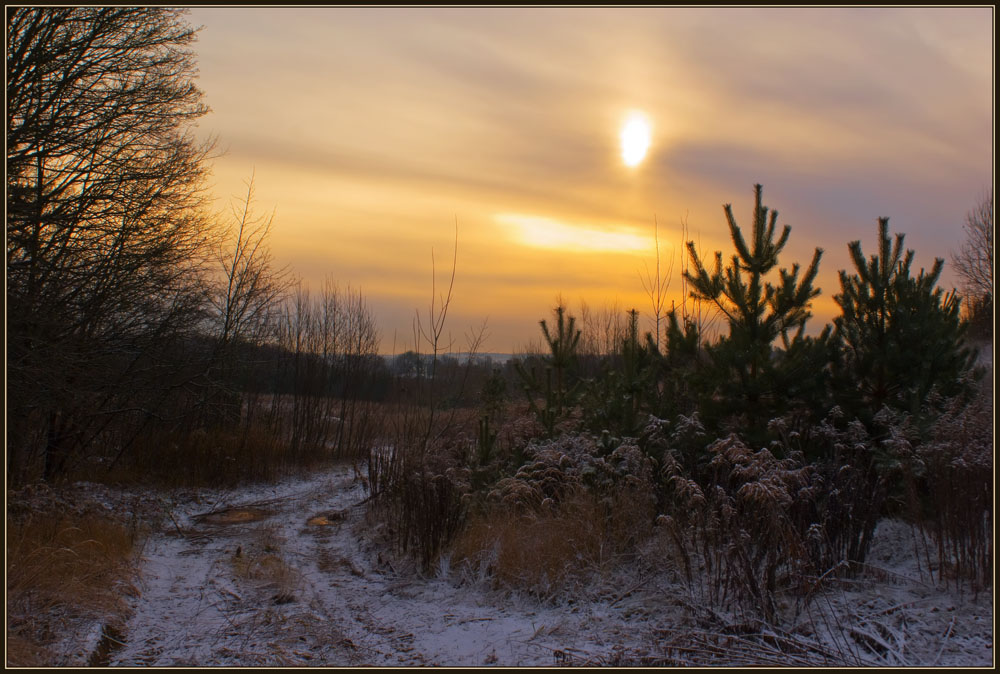 photo "The day" tags: landscape, winter