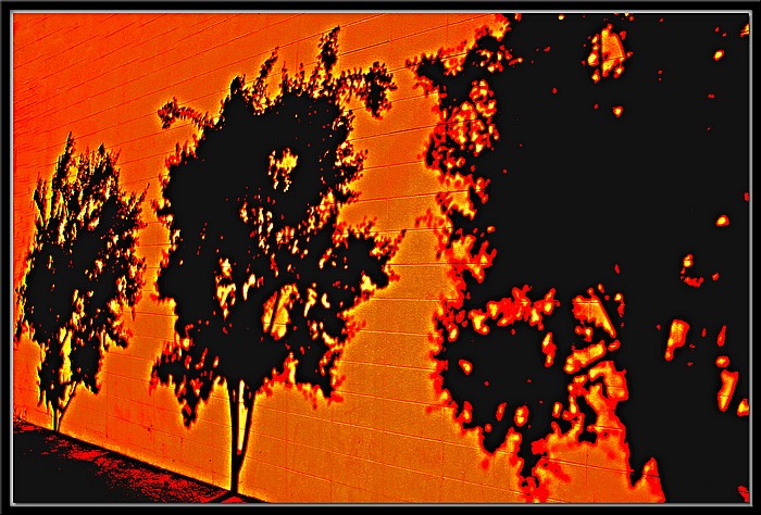 photo "Shadows On Orange" tags: abstract, montage, 