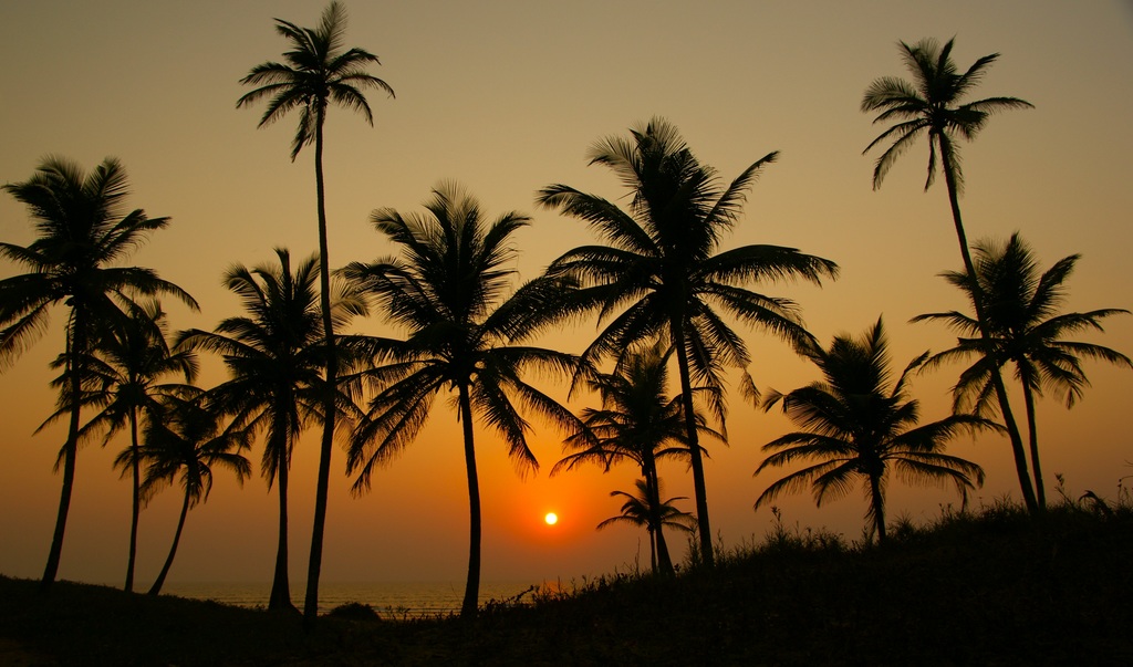photo "Sunset on Mandrem Beach" tags: landscape, travel, Asia, sunset