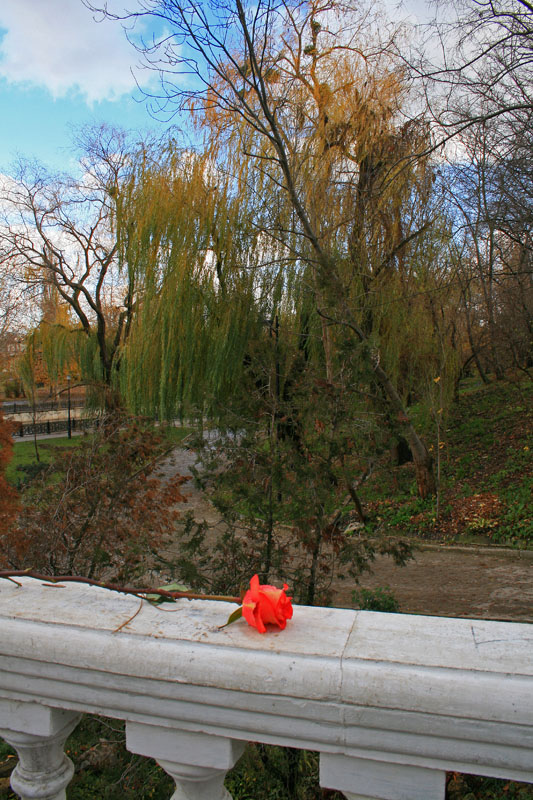 фото "Прощание с осенью" метки: пейзаж, город, осень