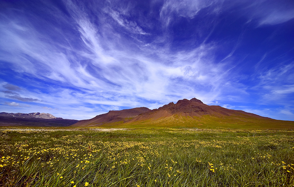 фото "Summer on Iceland" метки: пейзаж, горы, лето