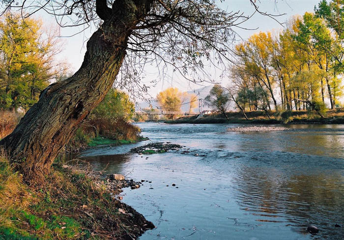 photo "Wallpaper 1984" tags: landscape, autumn