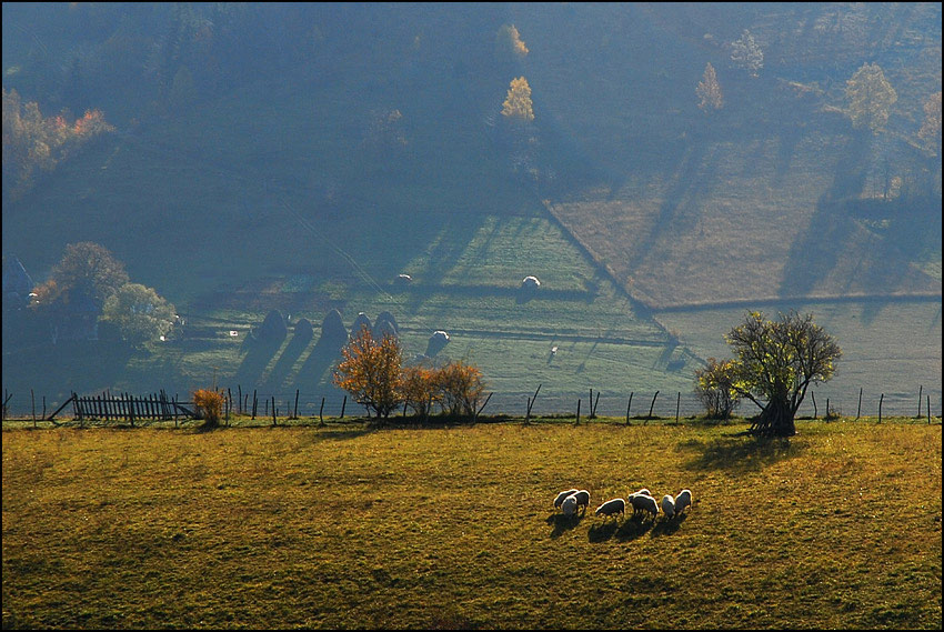 фото "Morning on the mountain" метки: пейзаж, горы
