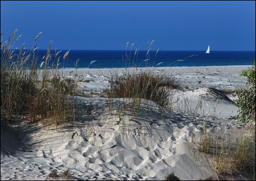 photo "Lonely Sail" tags: landscape, 