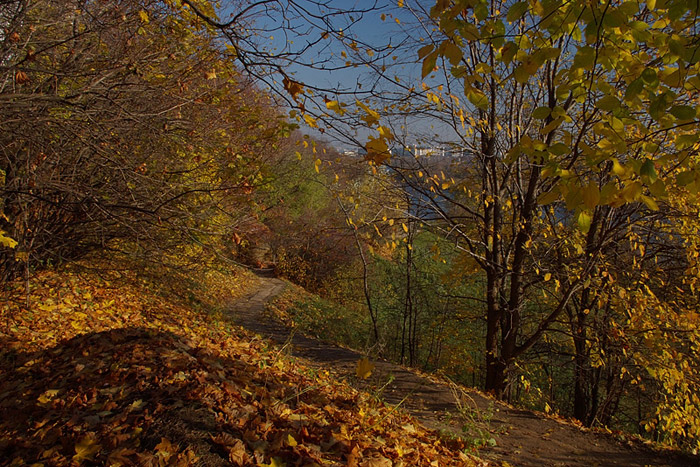 photo "***" tags: landscape, autumn