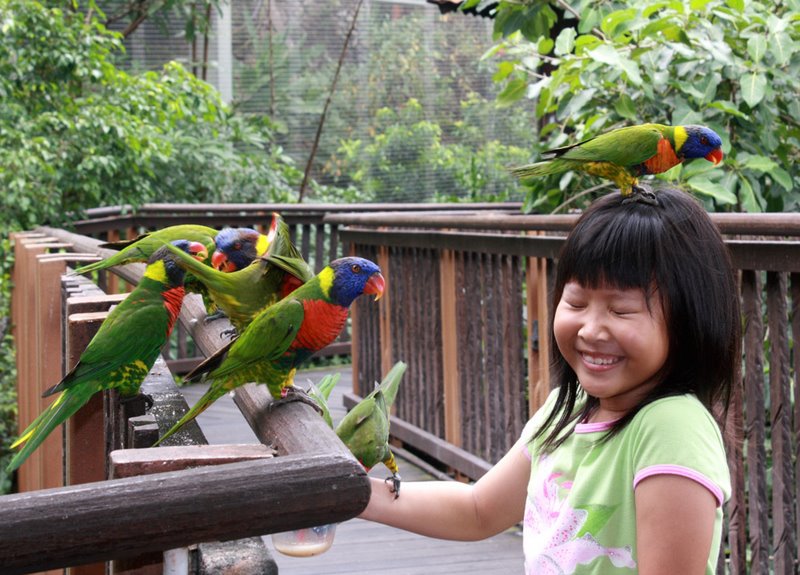 Фотосессия с попугаем. Попугай ара девочка. Попугай ара девочка. Попугай ара девочка. Девушка с попугаем ара.
