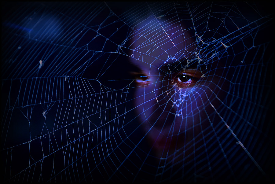 photo "Spider night" tags: montage, 