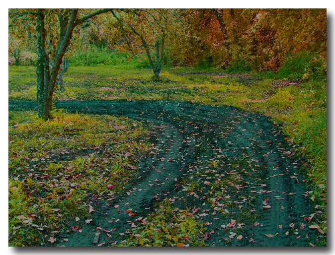 photo "Curve" tags: landscape, autumn