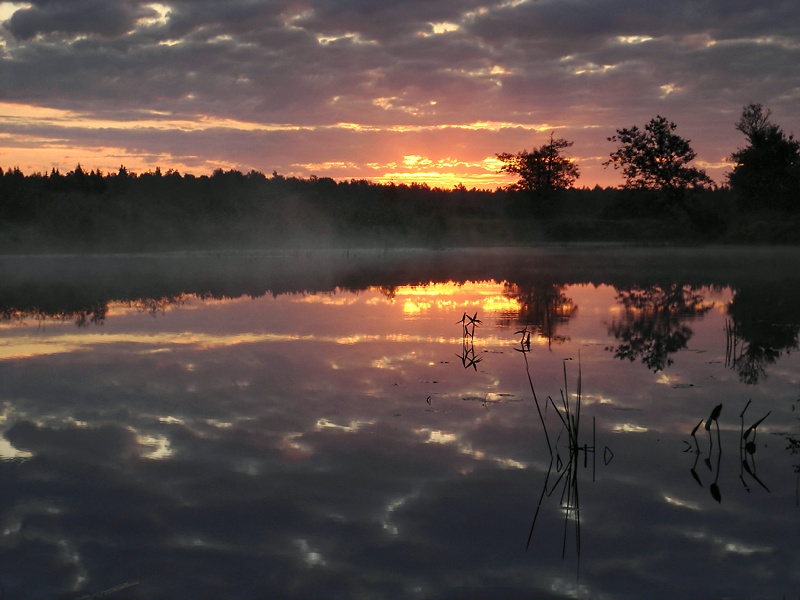 photo "***" tags: landscape, sunset, water