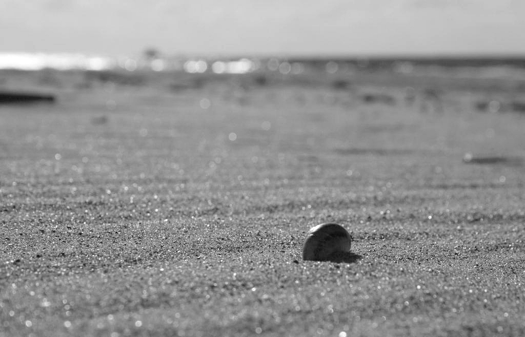 photo "***" tags: black&white, 