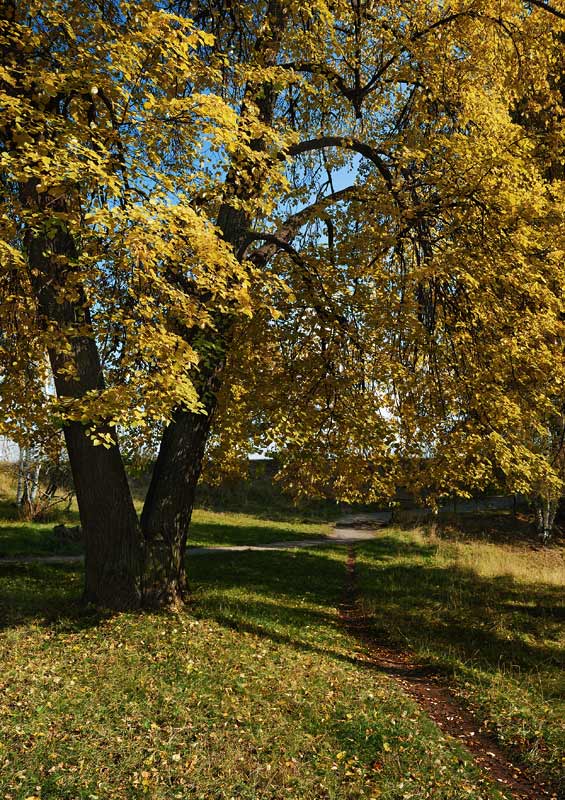 photo "кирс" tags: landscape, autumn