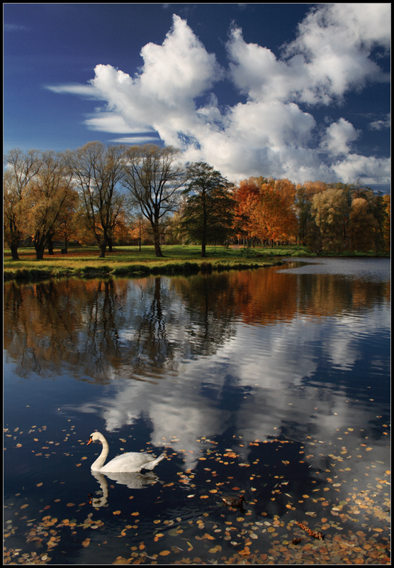 photo "* * *" tags: landscape, autumn, water