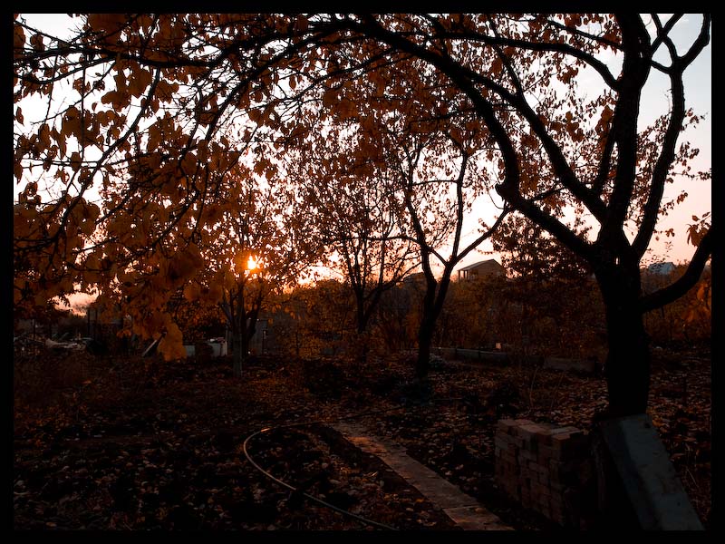 photo "Вот и закончился дачный сезон :)" tags: landscape, autumn
