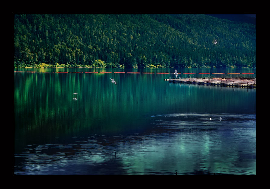 photo "***" tags: landscape, summer, water