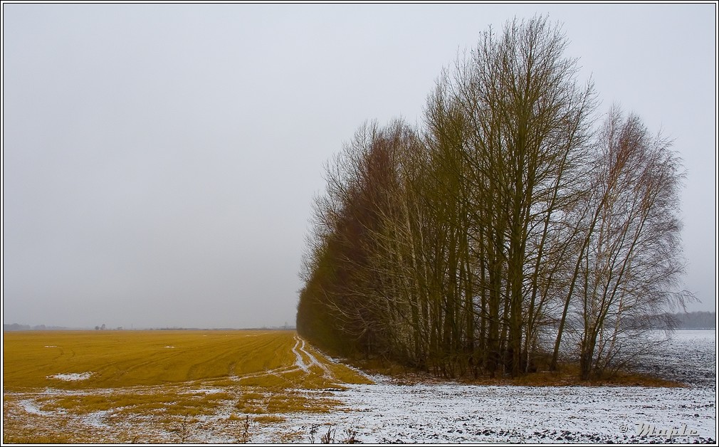 photo "***" tags: landscape, autumn, winter