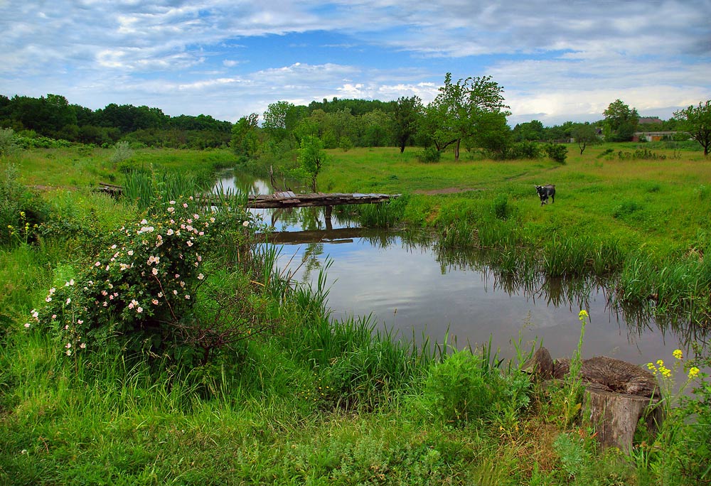 photo "***" tags: landscape, summer, water