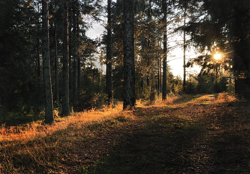 photo "***" tags: landscape, autumn