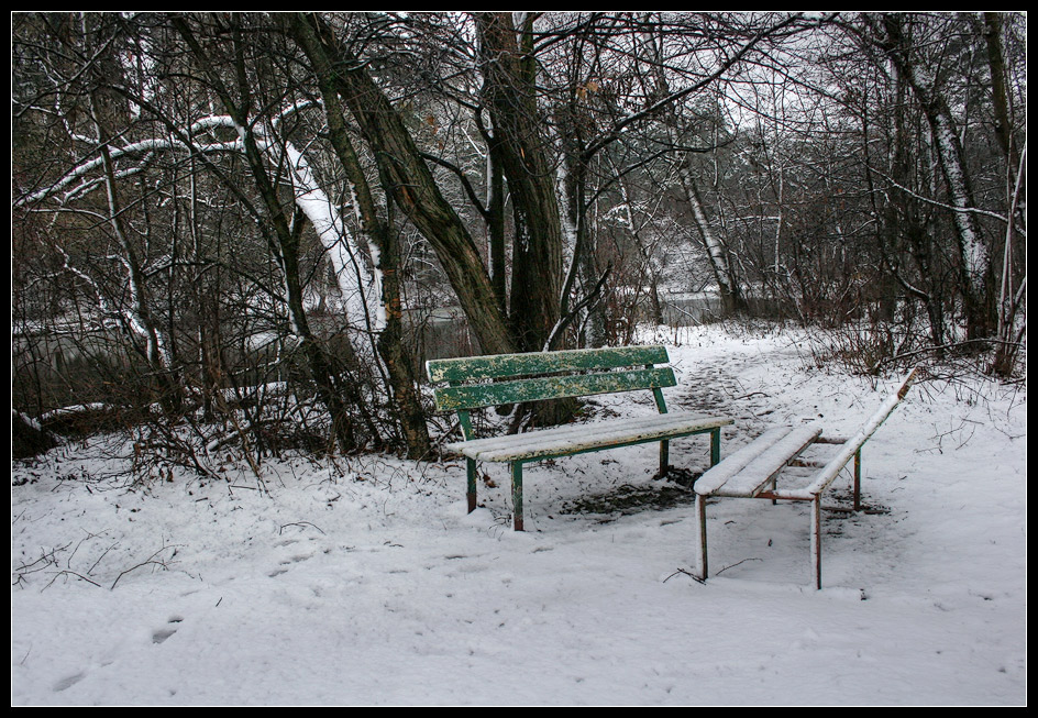 photo "waiting" tags: landscape, forest, winter