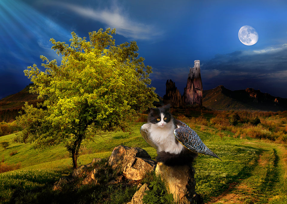photo "Little fairy tales" tags: montage, 