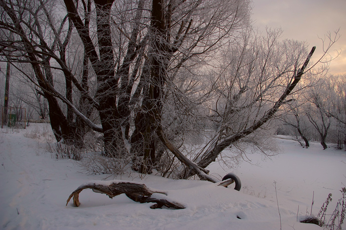 photo "***" tags: landscape, winter