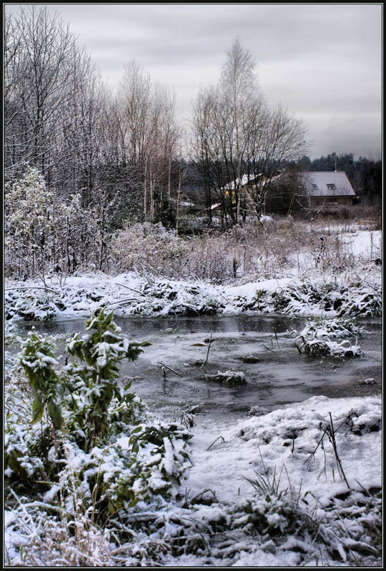 photo "The first snow" tags: landscape, winter