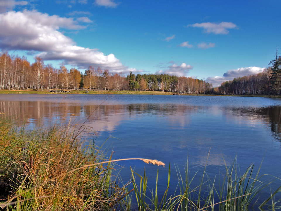 photo "***" tags: landscape, autumn