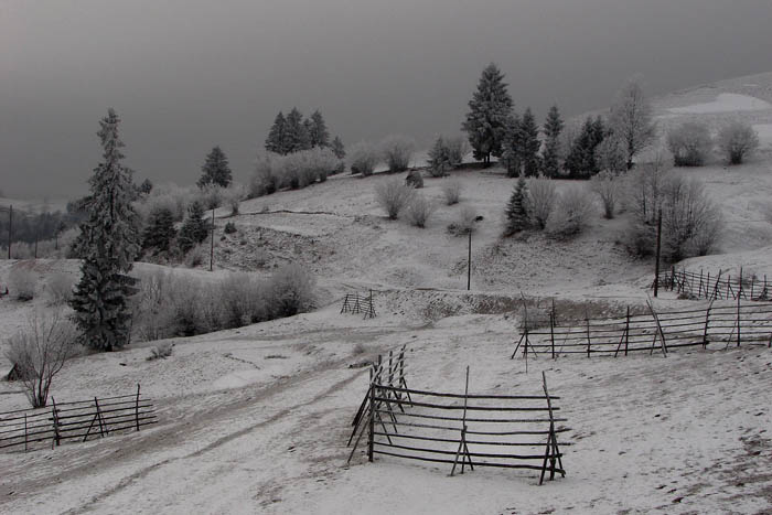 photo "***" tags: landscape, winter