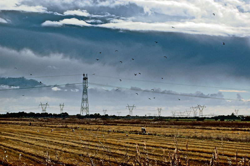 photo "BARROCA D'ALVA" tags: landscape, panoramic, autumn