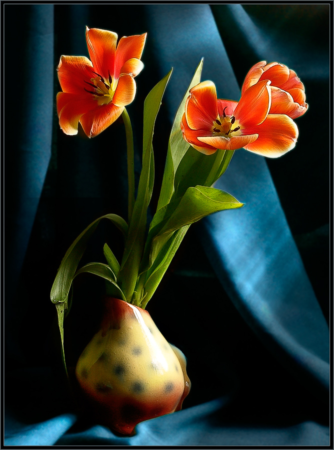 фото "Воспоминание о весне" метки: природа, натюрморт, цветы