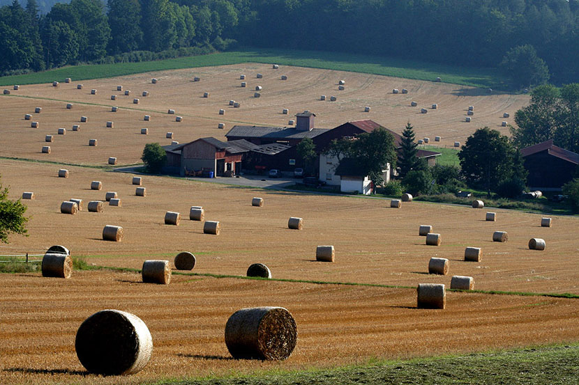 photo "Harvest time" tags: landscape, autumn